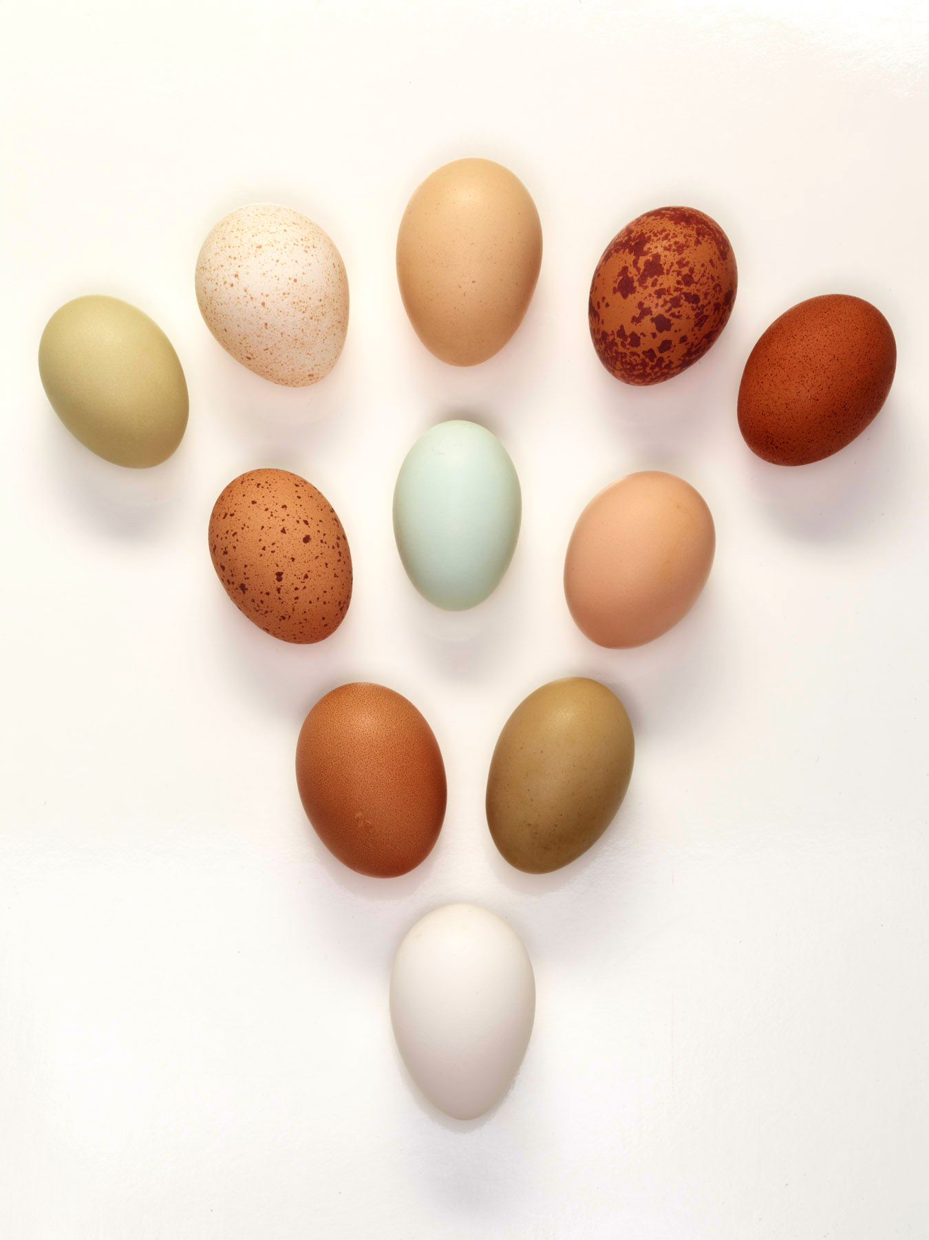 Egg art fountian